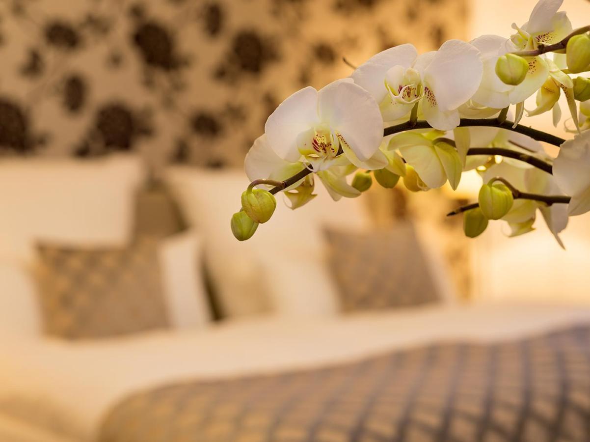 Апартаменти Boardinghouse Rathsmuehle Аахен Екстер'єр фото